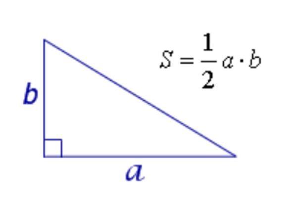 Площадь прямоугольного треугольника