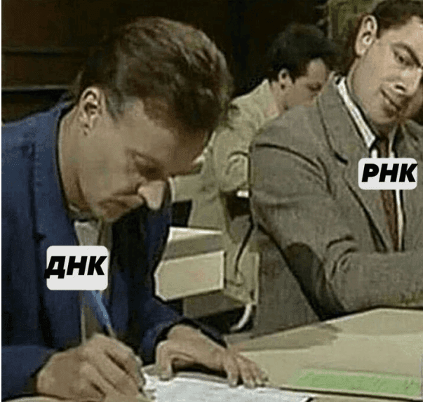 ТОП причин, почему биология — самая полезная и интересная наука