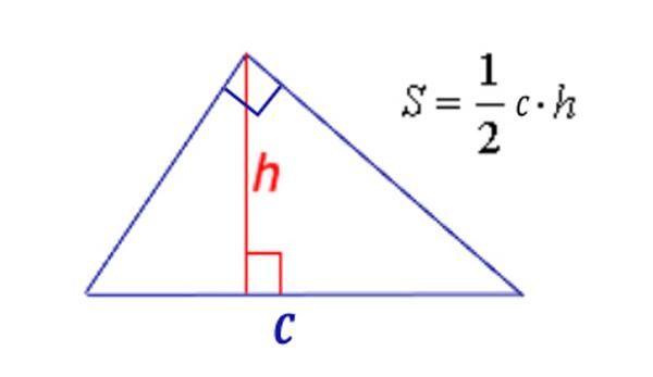 Площадь прямоугольного треугольника
