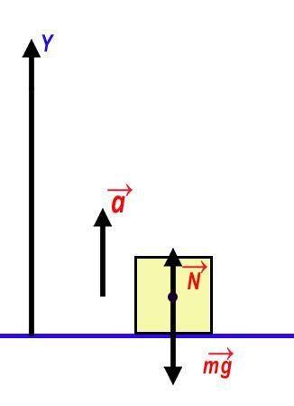 2654536745276547756777_tn.jpg