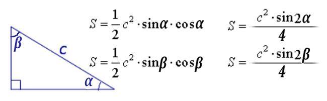 37245724767.jpg