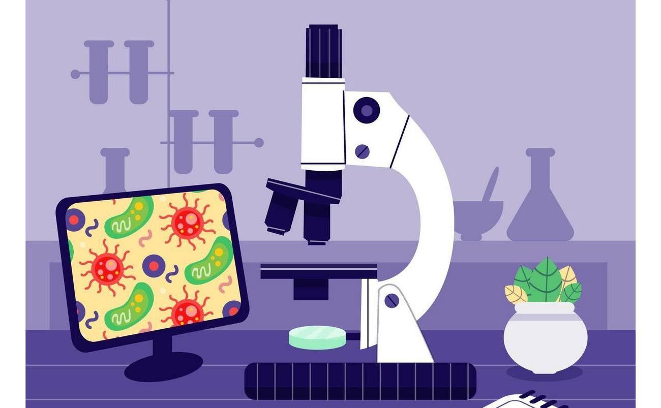 Устройство микроскопа и работа с ним