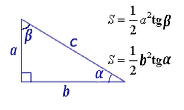 Площадь прямоугольного треугольника