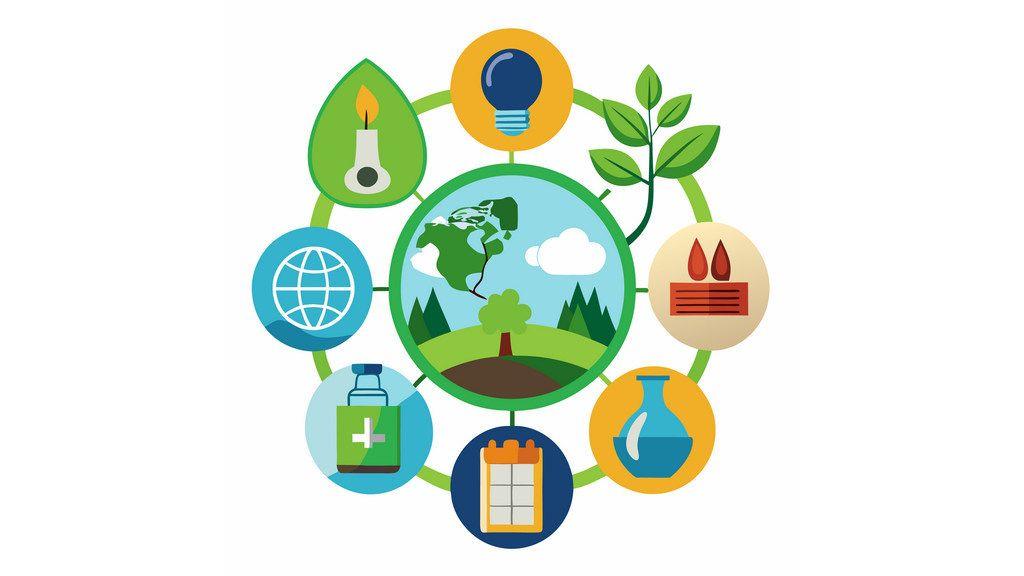 Экологические факторы окружающей среды