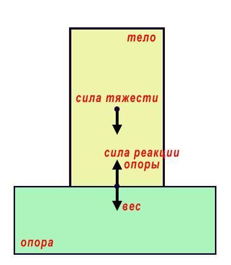 5735676888_tn.jpg
