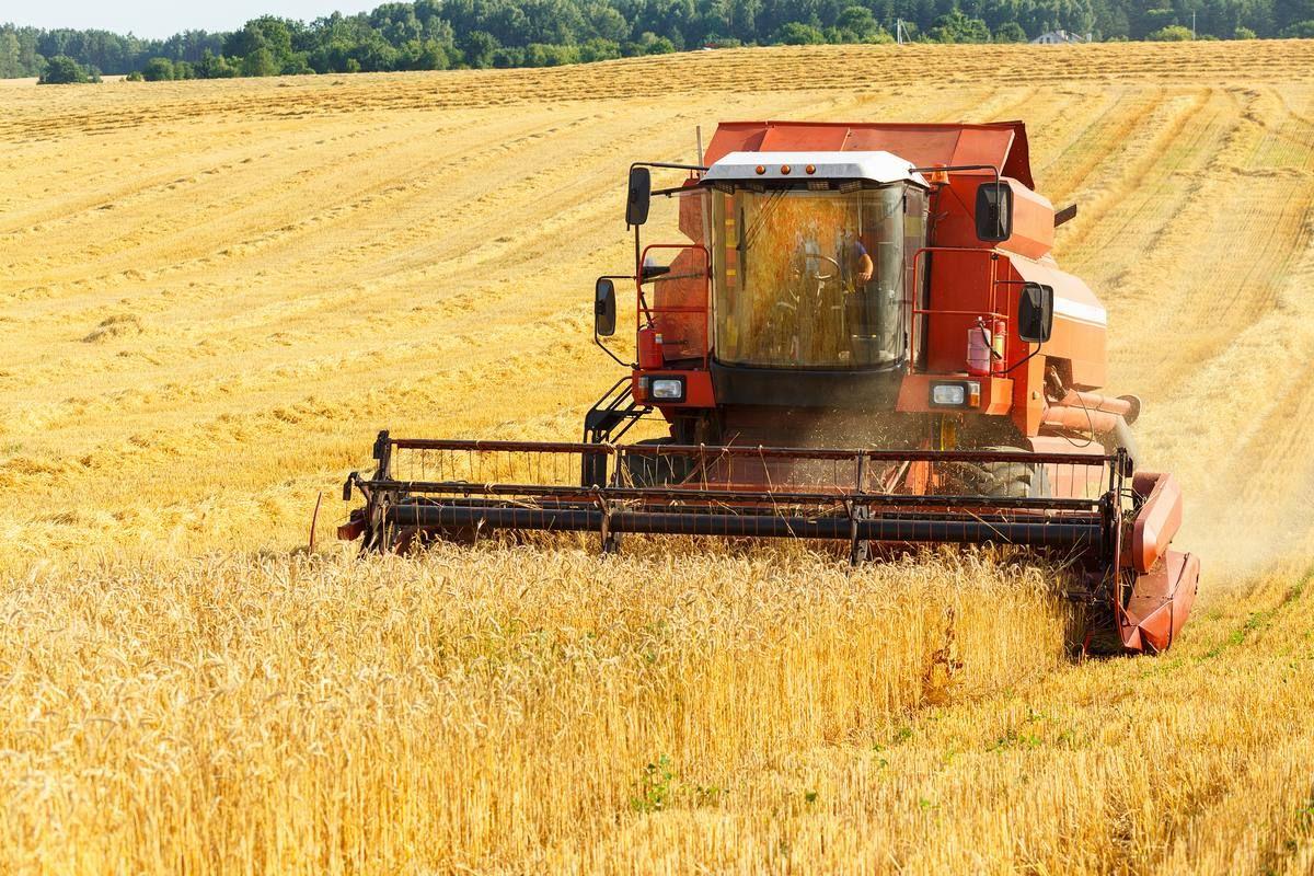 Хозяйство Поволжья