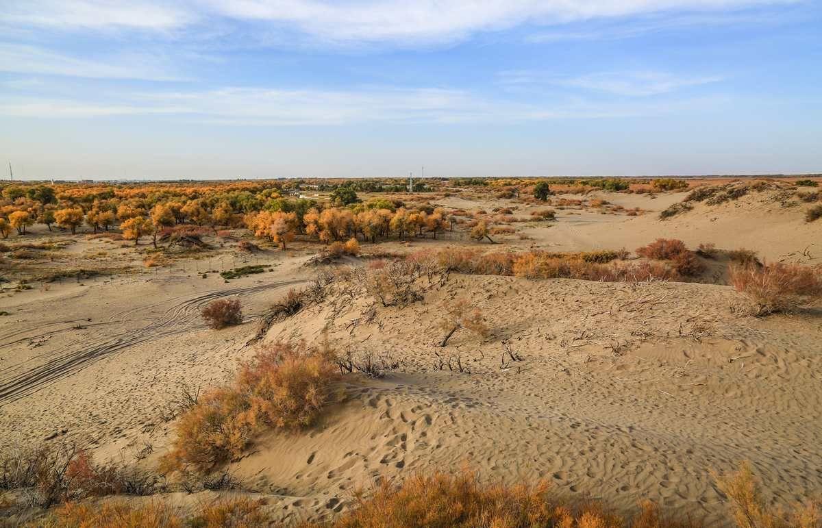 dry-landscape-view_tn.jpg