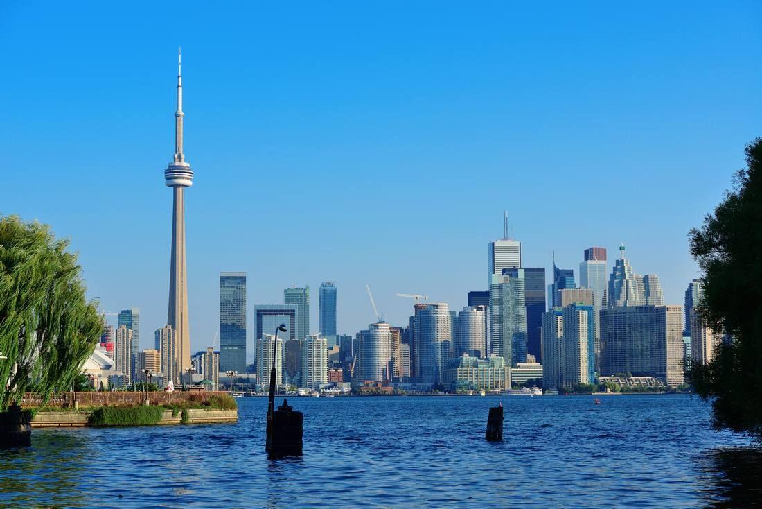 toronto-skyline-from-park.jpg