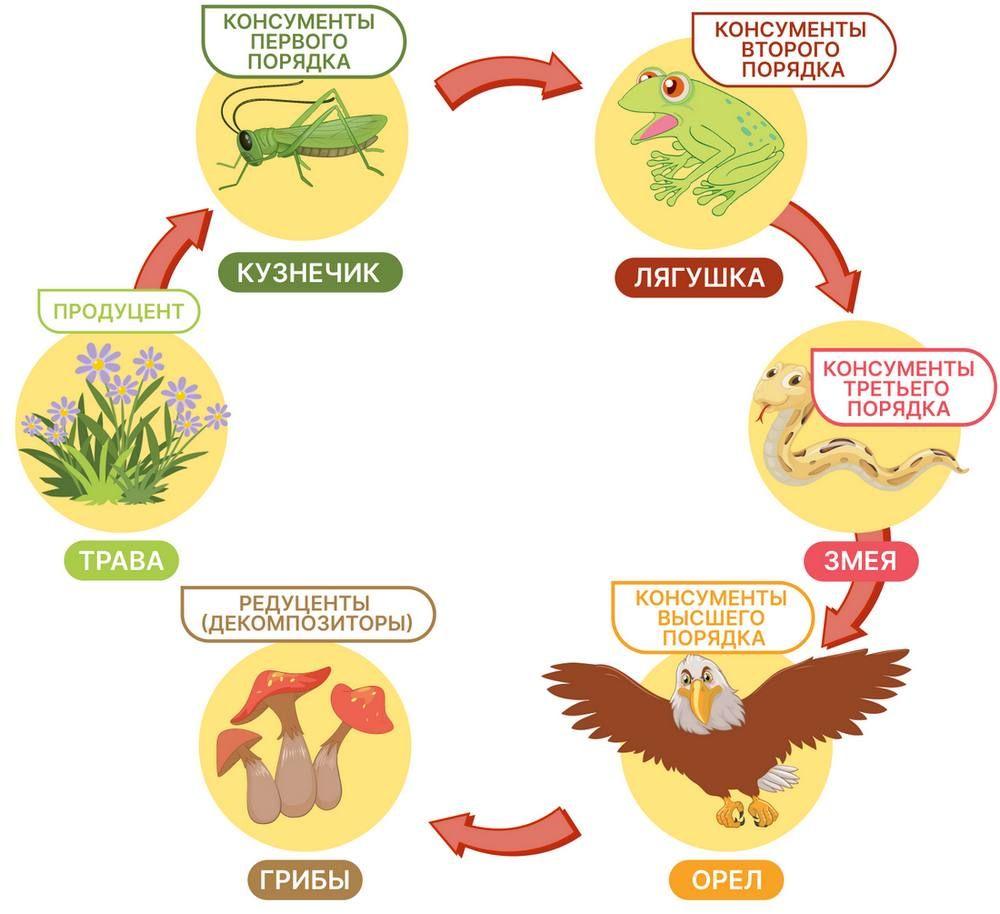 Природные сообщества