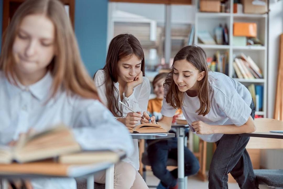 Какие предметы добавляются в средней школе: что изучают ученики в 5, 6, 7, 8 классах