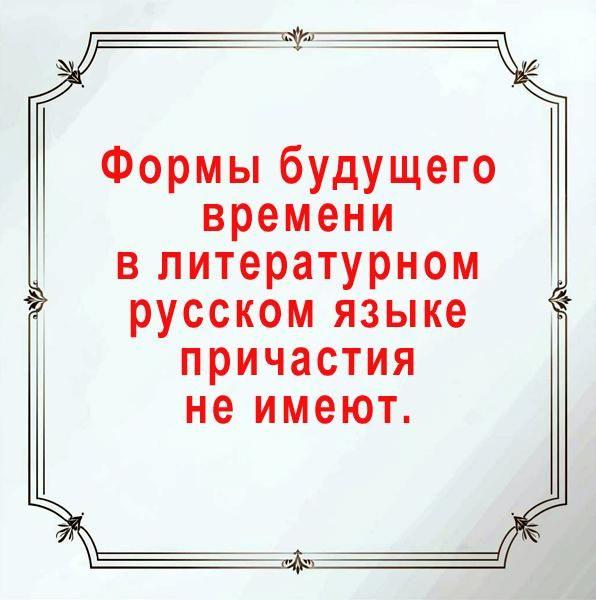14656452616246.jpg