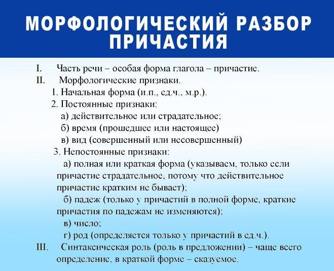 246134624562456.jpg