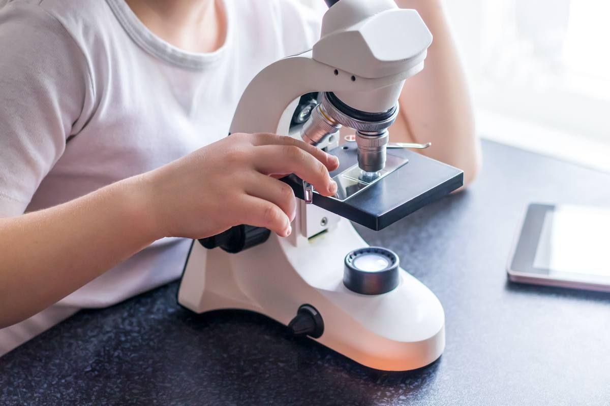 child-hands-installing-glass-with-laboratory-materials-microscope-research-science-education.jpg