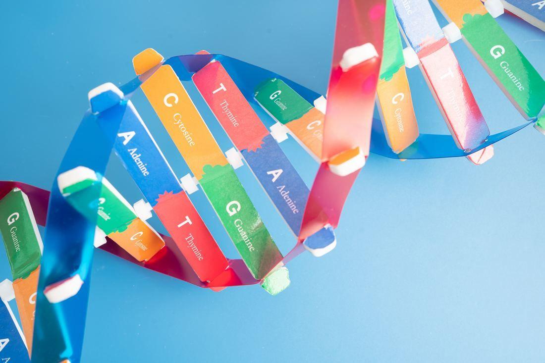 dna-deoxyribonucleic-acid-is-double-helix-chains-structure-formed-by-base-pairs-attached-sugar-phosphate-backbone.jpg