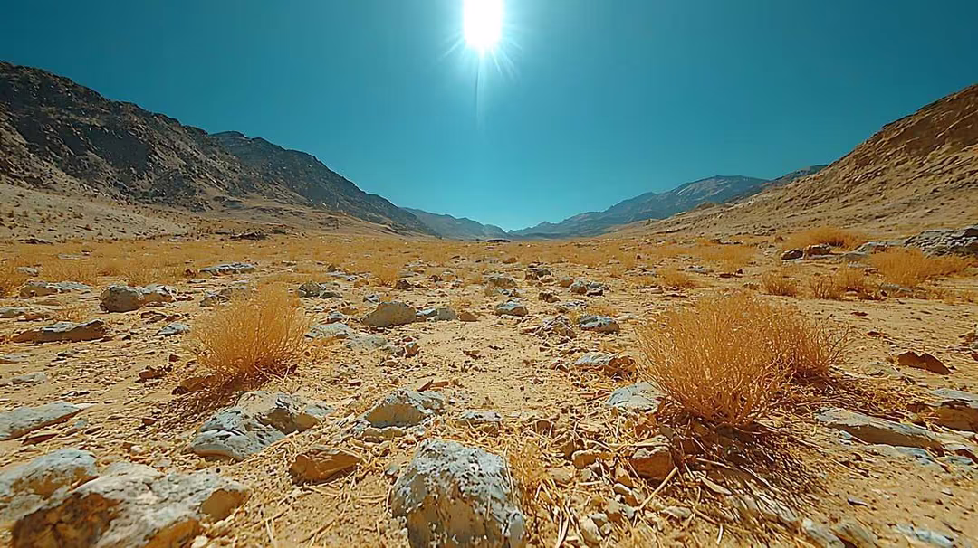 Зона пустынь и полупустынь России