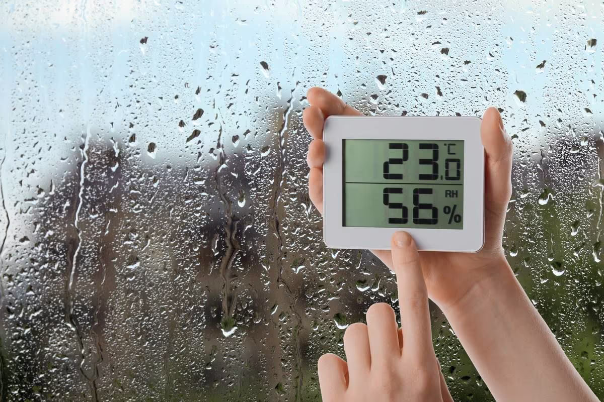 woman-holding-digital-hygrometer-with-thermometer-near-window-rainy-day-closeup-space-text_tn.jpg