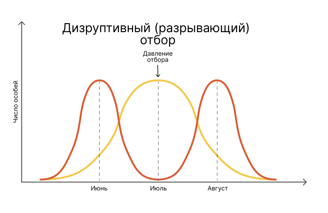 Виды естественного отбора